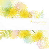 dandelion background