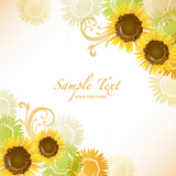 sunflower background