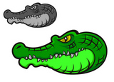 Green+alligator+crocodile+head+for+tattoo+or+mascot+design