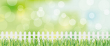 grass background