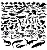 Big+collection+of+vector+reptiles+isolated+on+white