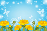 ����ݥݤ��Ķ�
