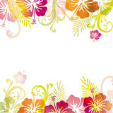 hibiscuses background