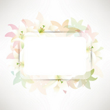 lilies background