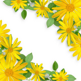 �ҥʥ������Ф��դΥե�����󥸥���