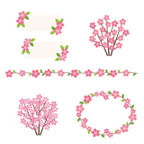 Set of cherry blossoms