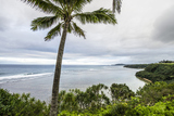 Puu Poa Point,Kenomene,Kauai,Hawaii,ץݥݥȡ