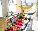 �ٲ�ȬȨ�ܤβּ�塦�����