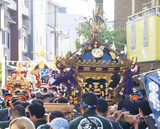 ���»��Һ�2024