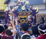 ���»��Һ�2024