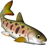 ���ޥ������ᥴ���������饹�ȡ�ͷ��