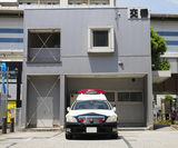 ���ո��٤Υѥȥ���