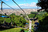 ���һ����鸫������