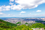 ���һ����鸫������
