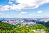 ���һ����鸫������