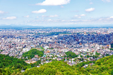 ���һ����鸫������