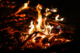 ǳ�����