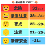 WBGT�뤵�ؿ���5�ʳ�ɽ��������饯����