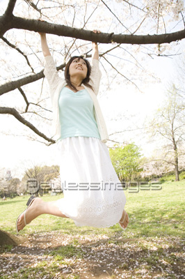 ���Ƚ���