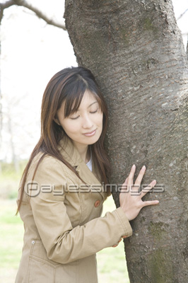 ���Ƚ���