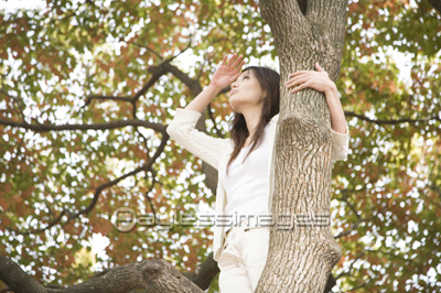 �ڤ��Ф����