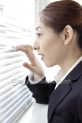 �ӥ��ͥ���ǥ�