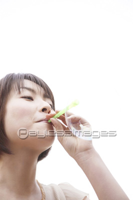 ����ܥ�̤�ͷ�ֽ���