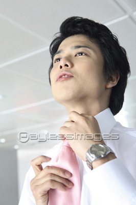 �ͥ������������ӥ��ͥ��ޥ�