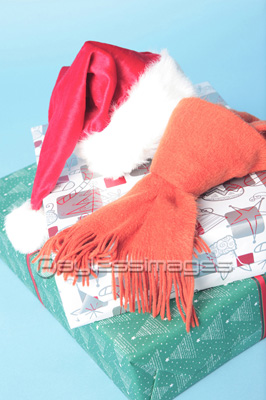 �ץ쥼��ȥ��᡼��