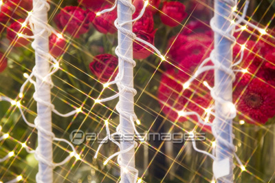 ����ߥ͡������