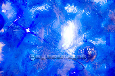 �����ʥ���