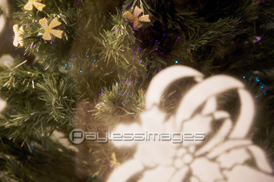 ����ߥ͡������