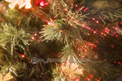 ����ߥ͡������