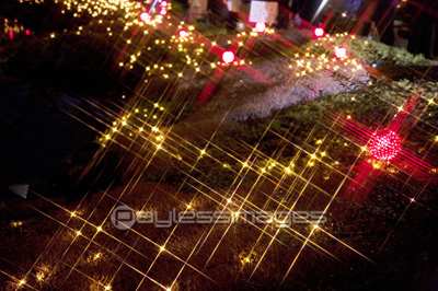 ����ߥ͡������