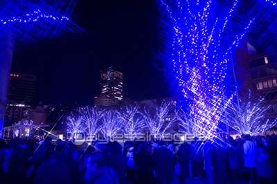 イルミネーション 無料写真素材 フリー素材