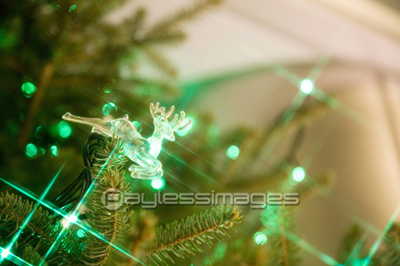 �����ʥ���