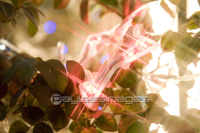 ����ߥ͡������