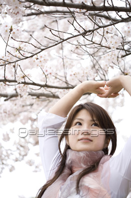 桜の下の女性