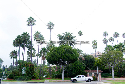 �ӥХ꡼�ҥ륺�γ���