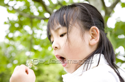 タンポポの綿毛を吹く女の子 商用利用可能な写真素材 イラスト素材ならストックフォトの定額制ペイレスイメージズ
