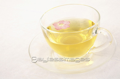 �ϡ��֥ƥ���