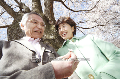 桜の花を見る老夫婦