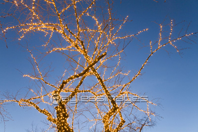 �ž���ܤ��줿�ڡ�