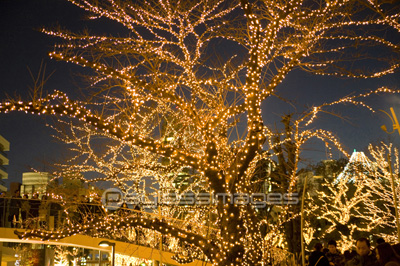 �ž���ܤ��줿�ڡ�