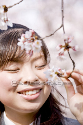 ���ι����̤����ҹ���