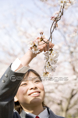 ���ΤĤܤߤ˿������ҹ���