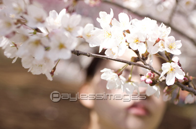 �ָ��򤹤����