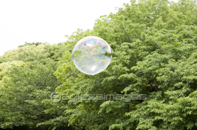 ����ܥ��