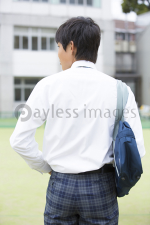 男子高校生の後ろ姿 商用利用可能な写真素材 イラスト素材ならストックフォトの定額制ペイレスイメージズ