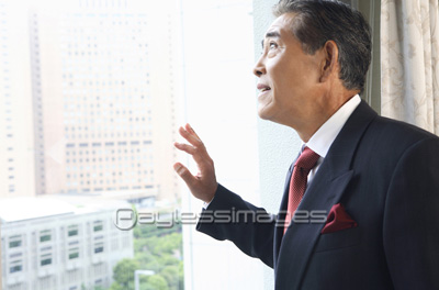 �ӥ��ͥ��ޥ�ݡ��ȥ졼��